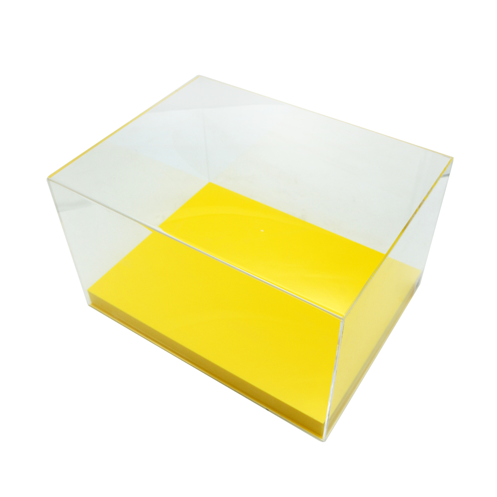 Plexiglass Shoe Box