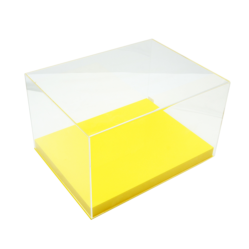 Clear Plexiglass Shoe Box